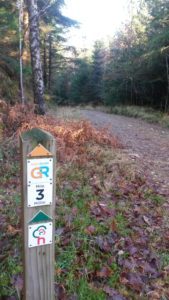 Coed y Brenin Waymarker