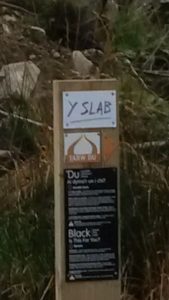 Y Slab Coed y Brenin